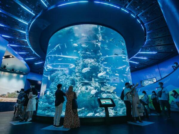 S.E.A. Aquarium (Oceanarium)