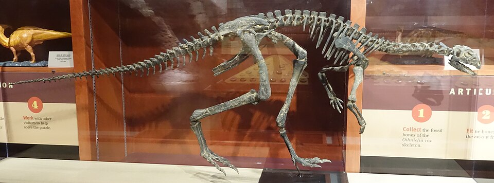 DinoVenture