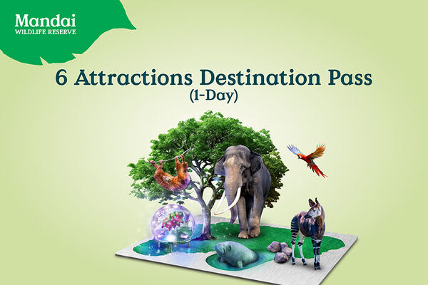 Mandai Multi-Attraction Destination Pass with Return Transfers