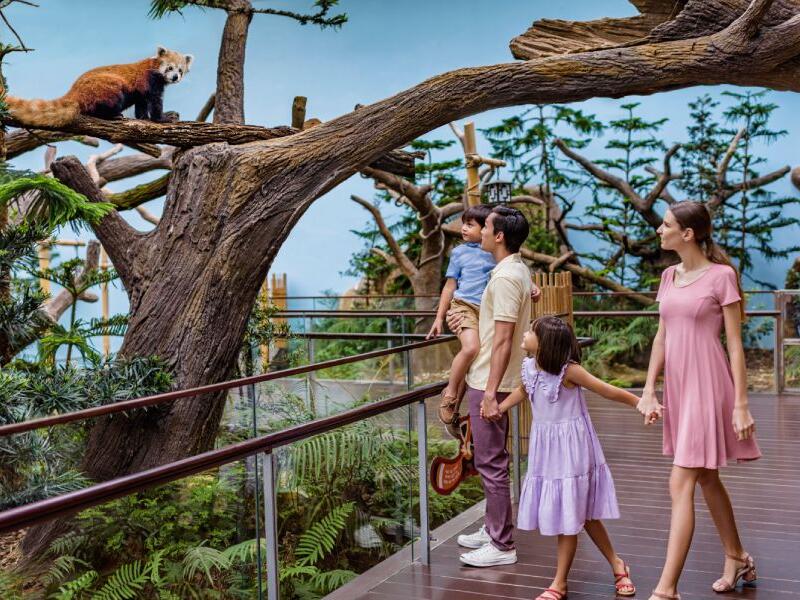 Amazon River Quest (Not Inclusive of River Wonders Admission)