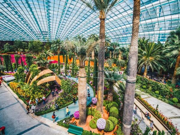 Gardens by the Bay Shared Transfers – Round Trip