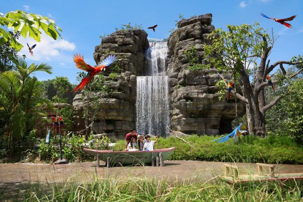 Crimson Wetlands at Bird Paradise — macaws in flight by the waterfall