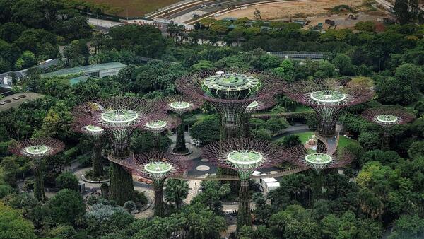 20 Best Things to Do in Singapore with Kids (2026 Family Guide)