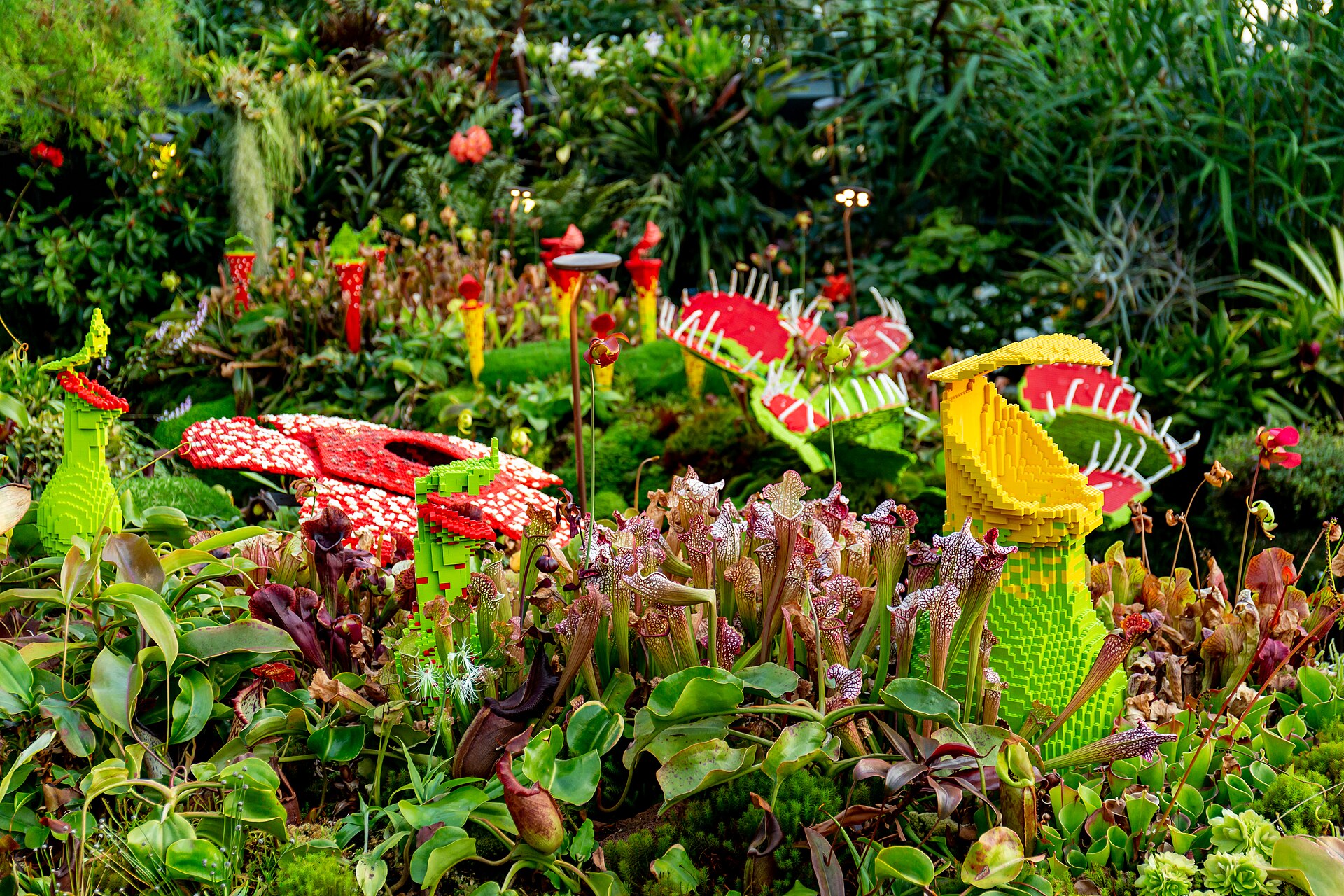 Fun Discovery Pass Singapore: Complete Visitor Guide (2026)