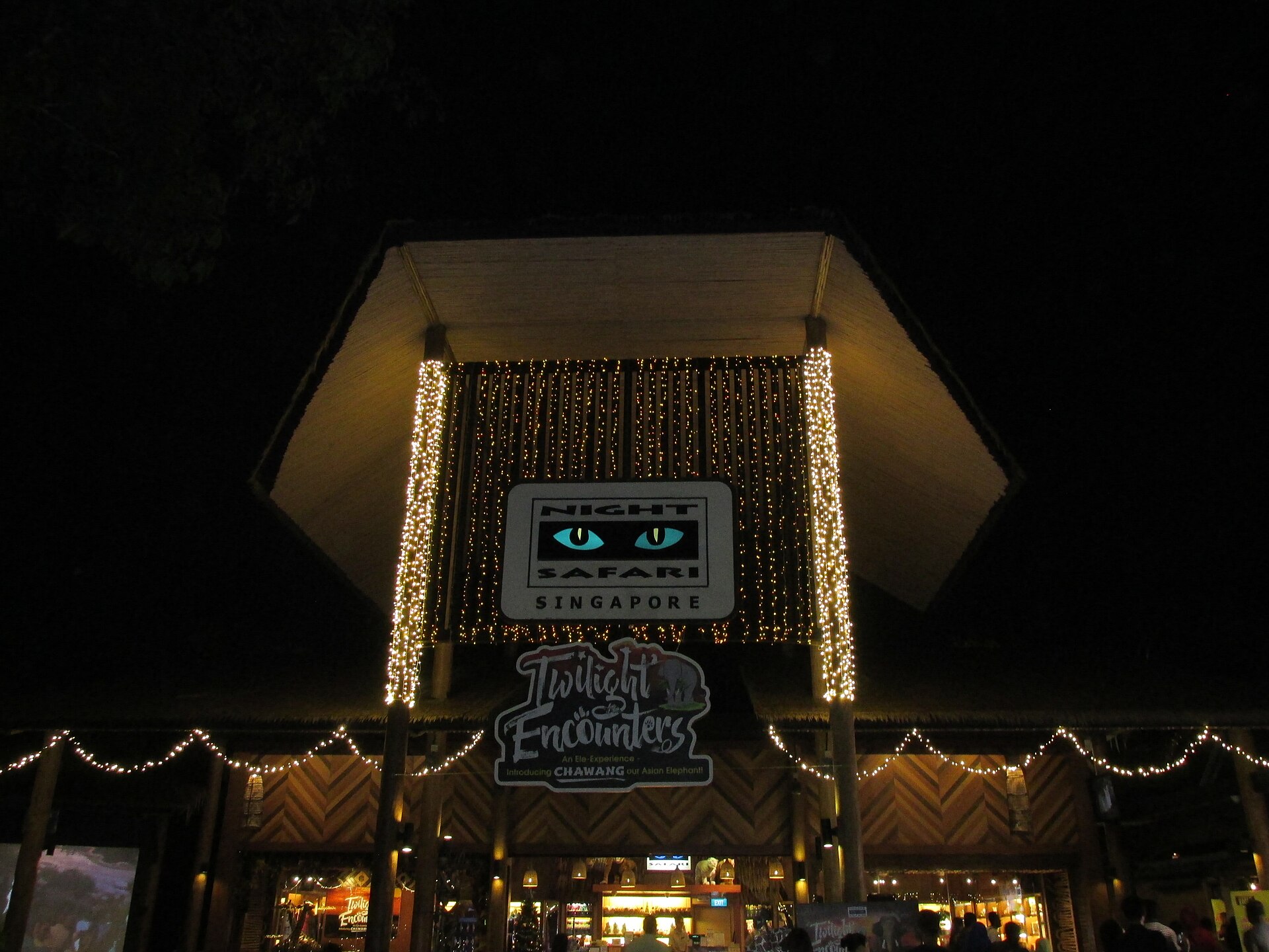 Night Safari Singapore: Complete Visitor Guide (2027)