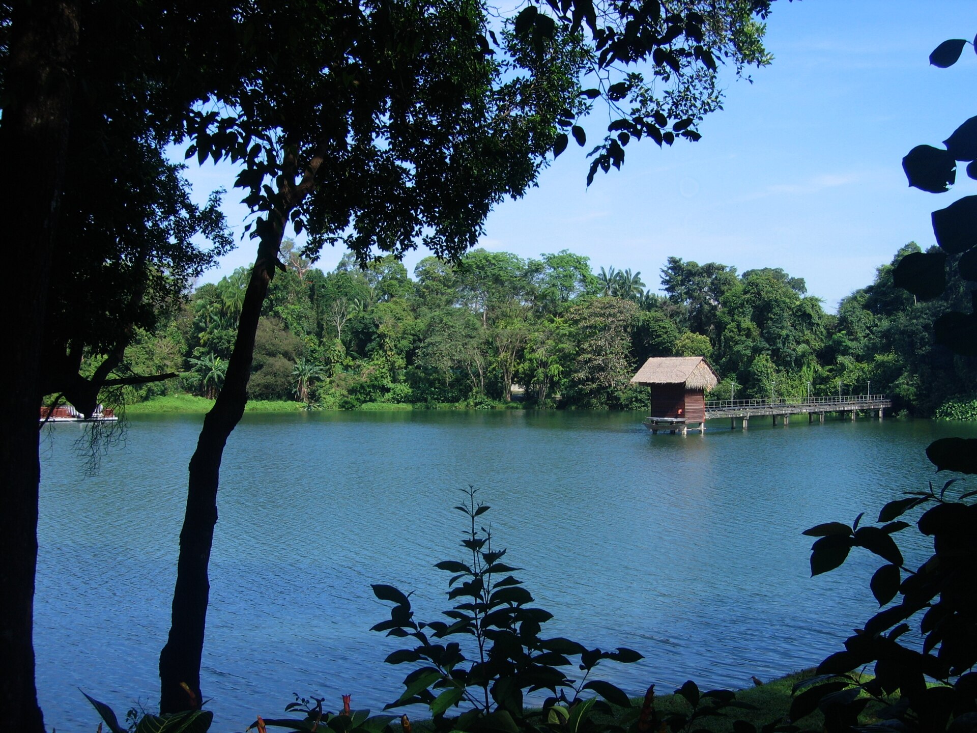 Singapore Zoo Guide 2026: Tickets, Timings, Animals & Travel Tips