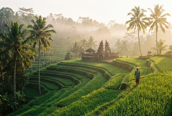 Bali