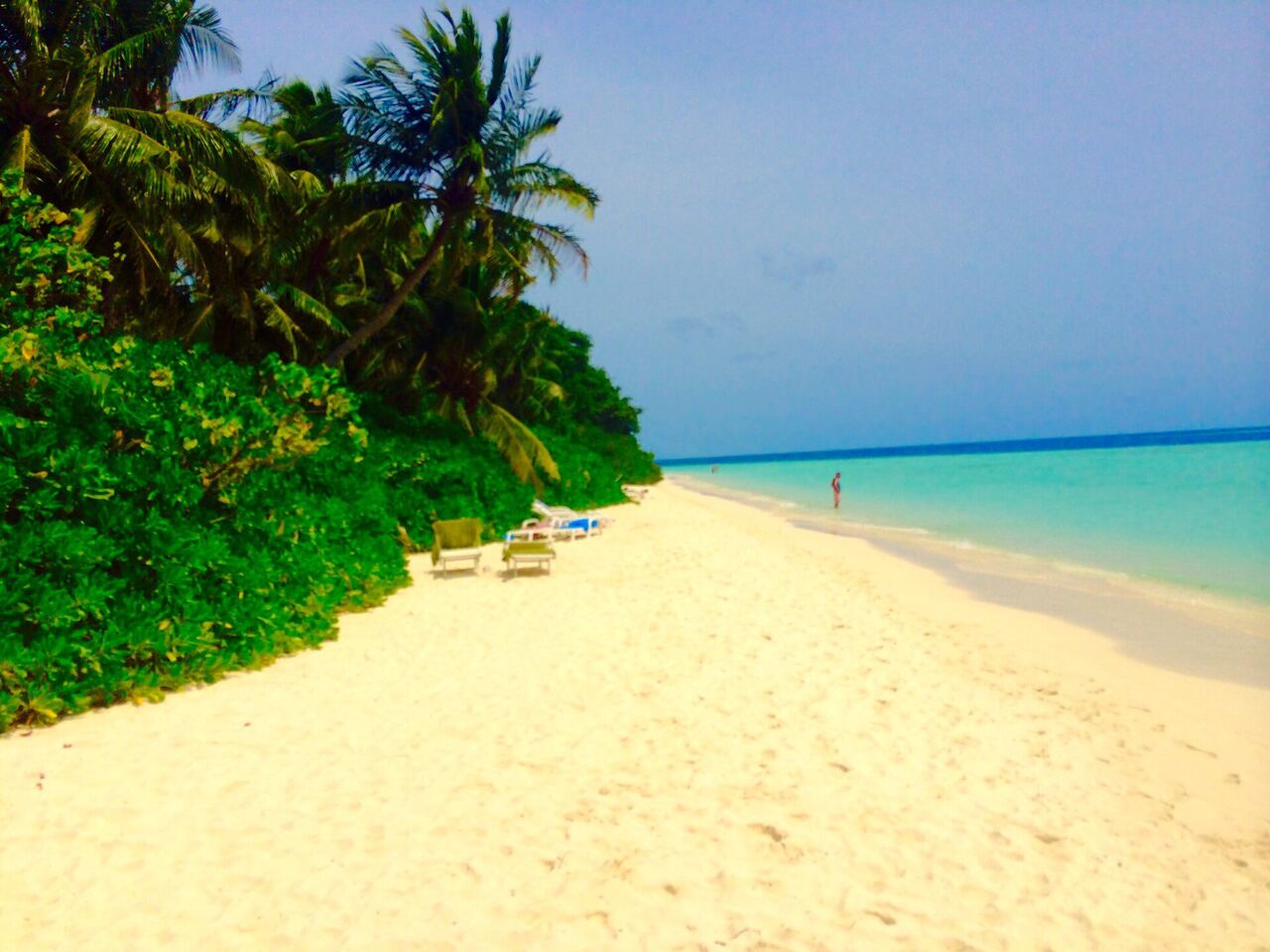Cocoon Maldives, Lhaviyani Atoll — Transfers, Villas and Package Prices