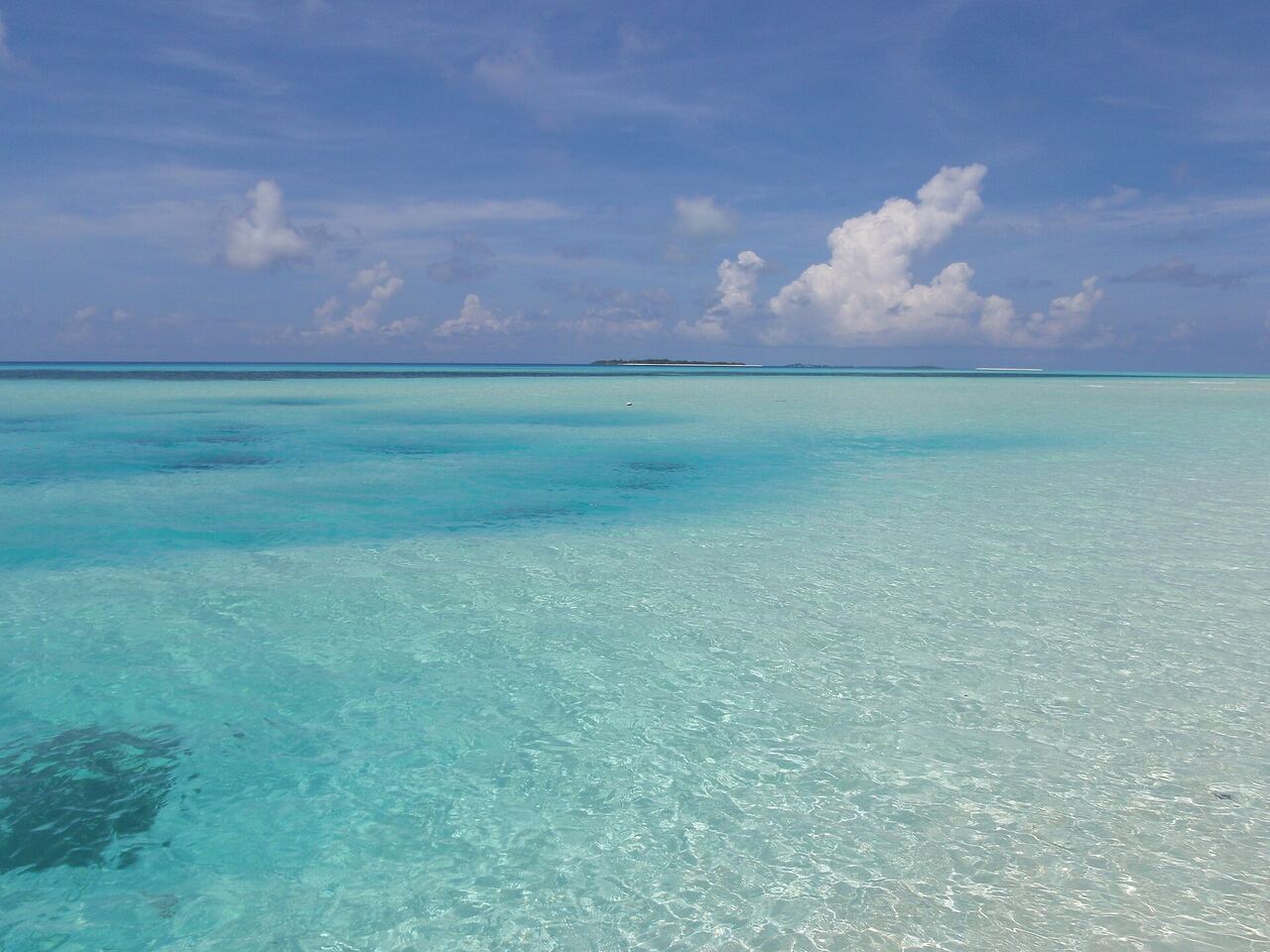 dusitD2 Feydhoo Maldives, North Malé Atoll — Transfers, Villas and Package Prices